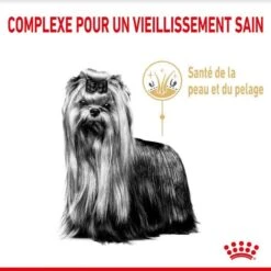 Royal Canin Yorkshire Terrier Adult 8+ 500 G -Animalerie royal canin yorkshire terrier adult 8