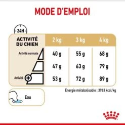 Royal Canin Yorkshire Terrier Adult 8+ 500 G -Animalerie royal canin yorkshire terrier adult 8 3