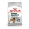 Royal Canin Canine Care Nutrition Mini Dental Care 8 Kg -Animalerie royal canin canine care nutrition mini dental care la compagnie des animaux