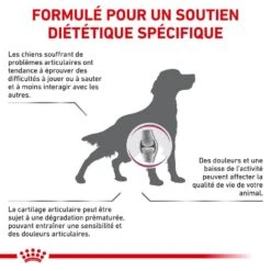 Royal Canin Vet Chien Mobility Support 2 Kg -Animalerie royal canin veterinary dog mobility support2 1