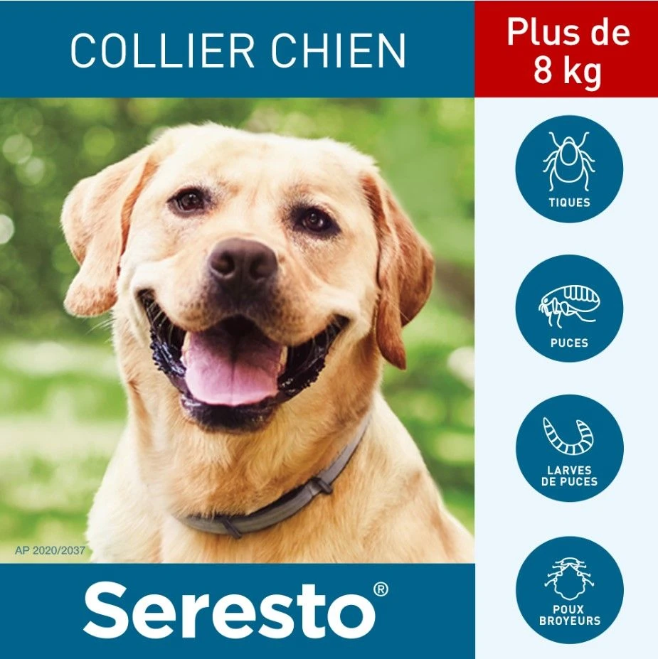 Seresto Collier Antiparasitaire Grand Chien X2 4 Seresto Collier Antiparasitaire Grand Chien X2 – Image 2