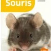 Livre - Souris 2 Livre - Souris -Animalerie souris 1