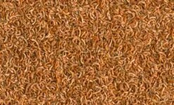 Tetra Grammarus 250 Ml - Destockage -Animalerie tetra grammarus 250 ml2