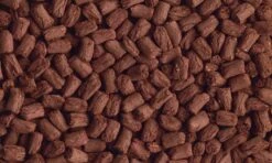 Tetra Tortoise 1 L 5 Tetra Tortoise 1 L -Animalerie tetra tortoise 1l 2