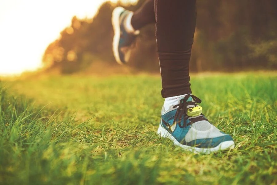 Tickless Run Rechargeable 5 Tickless Run Rechargeable – Image 3