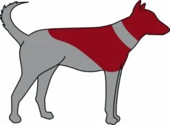 Trixie Carcan Gonflable Pour Chien L-XL -Animalerie trixie carcan gonflable pour chien l xl3