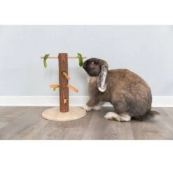 Trixie Tronc D'arbre Ludique Pour Aliments Rongeurs -Animalerie trixie tronc d arbre ludique pour aliments rongeurs 2