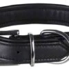 Trixie Active Comfort Collier Noir L-XL 52 à 63 Cm - Destockage -Animalerie trixie active comfort collier noir l xl 52 a 63 cm