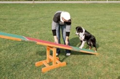 Trixie Balançoire Agility Pour Chien 300 × 54 × 34 Cm -Animalerie trixie balan oire agility pour chien 300 cm entra nement