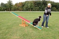 Trixie Balançoire Agility Pour Chien 300 × 54 × 34 Cm -Animalerie trixie balan oire agility pour chien 300 cm entra nements