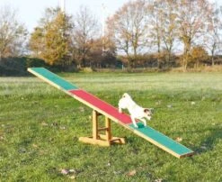 Trixie Balançoire Agility Pour Chien 300 × 54 × 34 Cm -Animalerie trixie balan oire agility pour chien 300 cm jeu