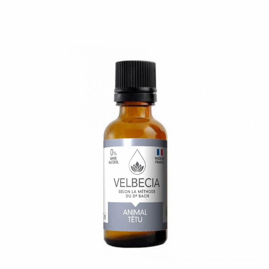 Velbecia Fleurs De Bach Animal Têtu 30 Ml 3 Velbecia Fleurs De Bach Animal Têtu 30 Ml