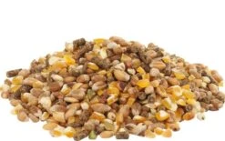 Versele Laga GOLD 4 Mix Poules Pondeuses 5 Kg -Animalerie versele laga gold 4 mix pour poules pondeuses 5 kg3