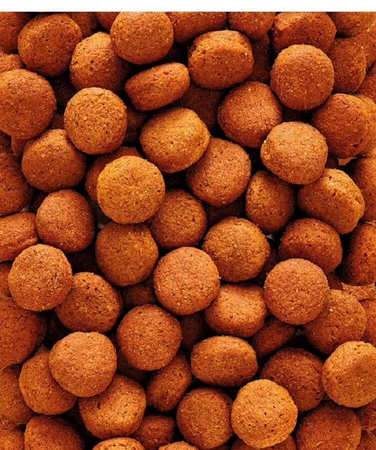 Versele Laga Nutribird H16 Calaos 10 Kg 4 Versele Laga Nutribird H16 Calaos 10 Kg – Image 2