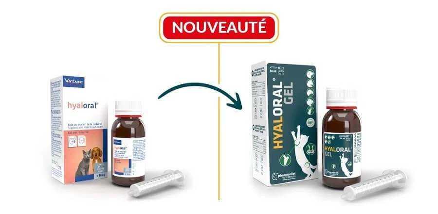 Virbac HYALORAL Gel Chat Et Chien <10 Kg 50 Ml 4 Virbac HYALORAL Gel Chat Et Chien <10 Kg 50 Ml – Image 2