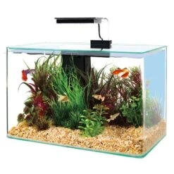 Zolux Aquarium Aqua Clear 40 Noir 5 Zolux Aquarium Aqua Clear 40 Noir -Animalerie zolux aquarium aqua clear 40 noir la compagnie des animaux 2