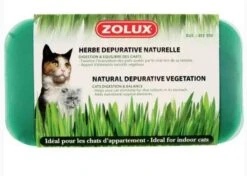 Zolux Herbe Dépurative Naturelle Pour Chat 250 G