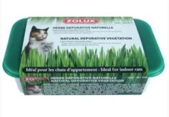 Zolux Herbe Dépurative Naturelle Pour Chat 250 G 7 Zolux Herbe Dépurative Naturelle Pour Chat 250 G -Animalerie zolux herbe depurative naturelle pour chat 250 g3